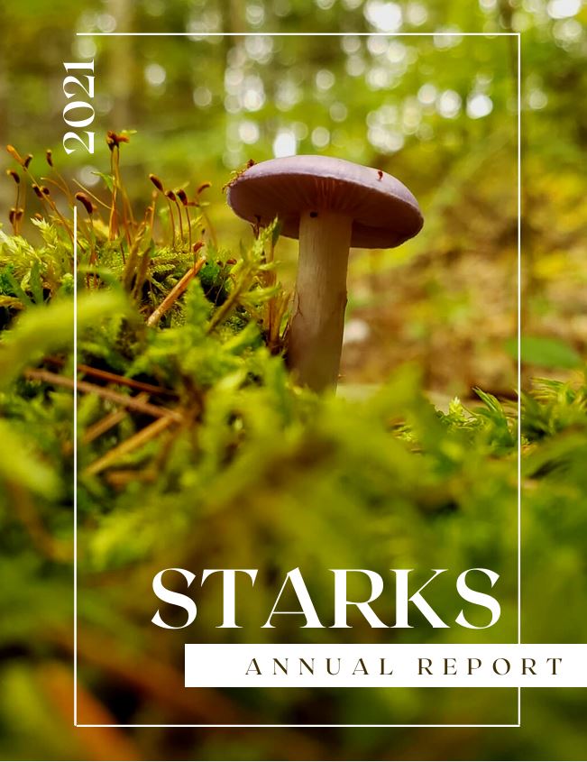Town of Stark Annual Report